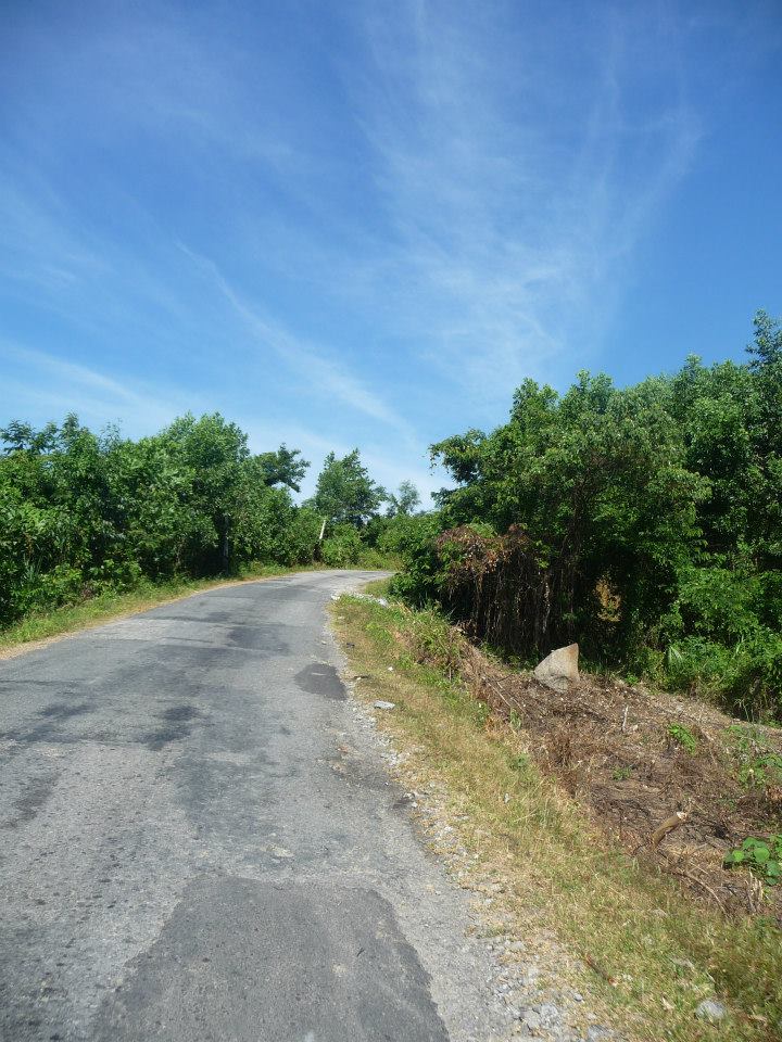 935830_10201115748236787_686239342_n