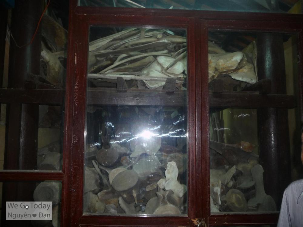 Tủ Cốt Cá Ông