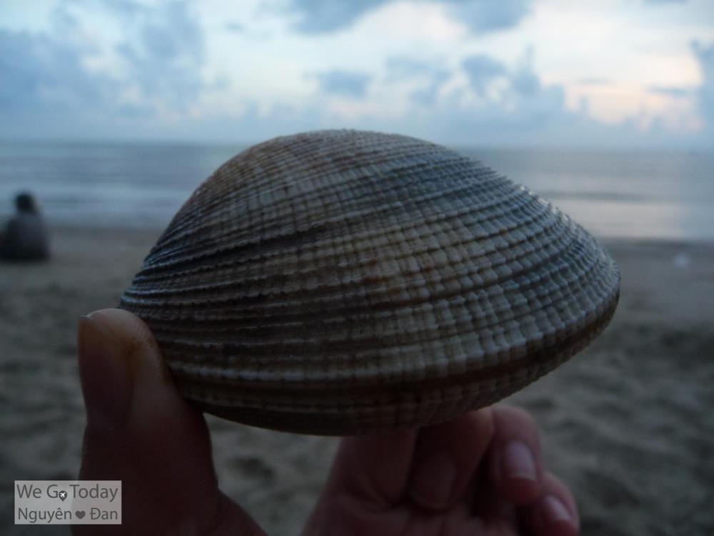 Sò chén nướng mỡ hành