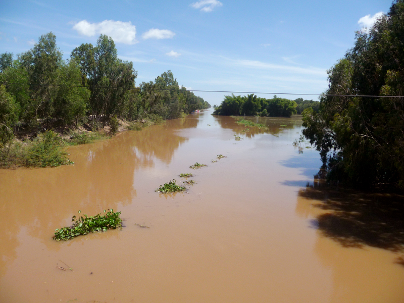 Đường đến Rừng Tràm