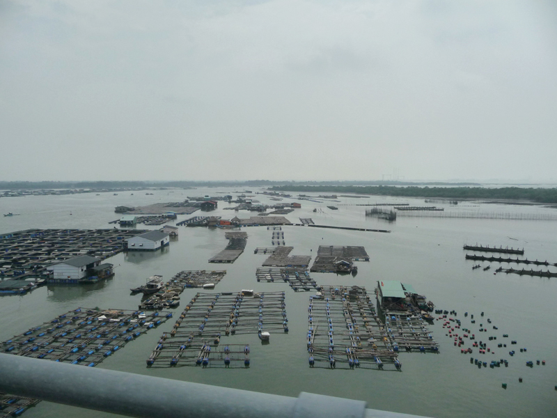 Bè hải sản nhìn từ cầu Chà Và