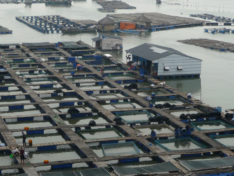 Bè hải sản nhìn từ cầu Chà Và