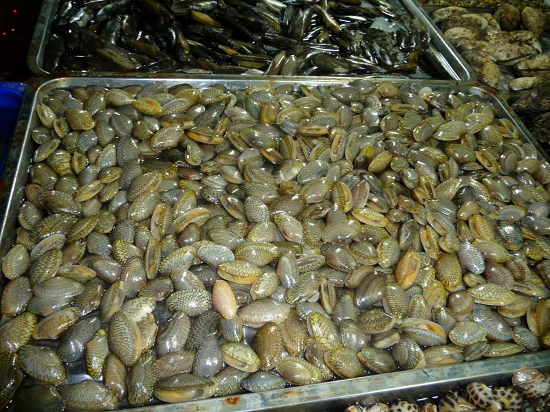 Sò lụa còn sống