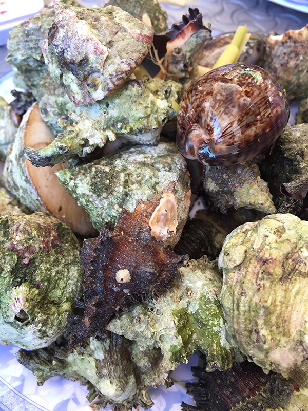 Ốc đủ loại luộc - Đảo Kỳ Co