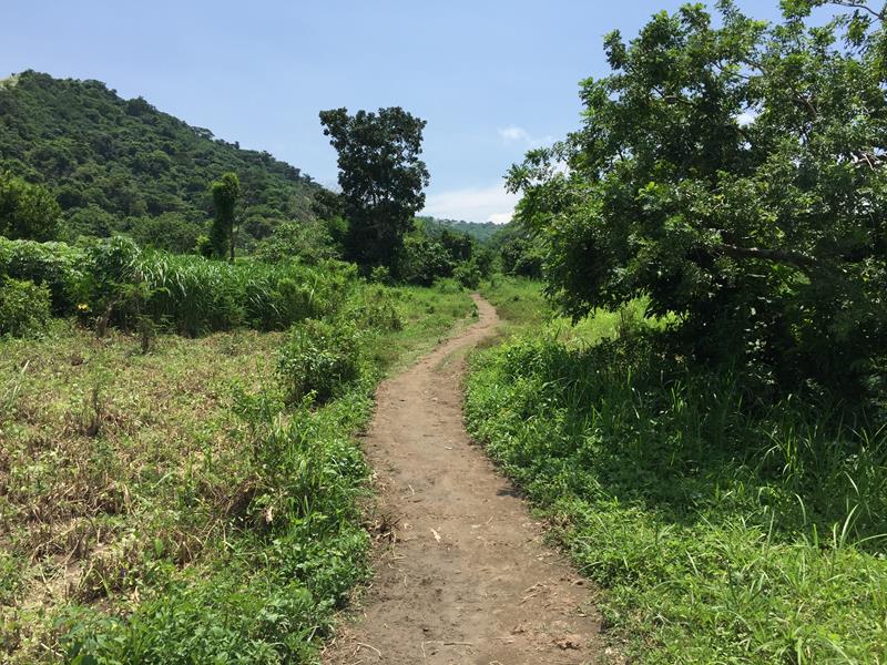 Đường lên hồ núi lửa Taal