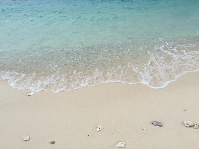 Bờ biển san hô ở Crystal Cove