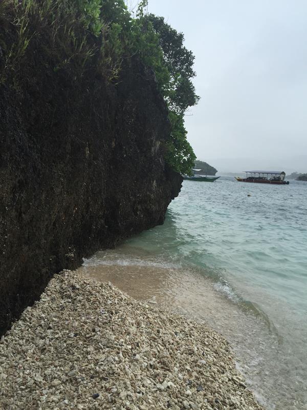 Bờ biển san hô ở Crystal Cove