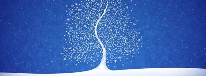 Noel - Ai Cũng Ấm