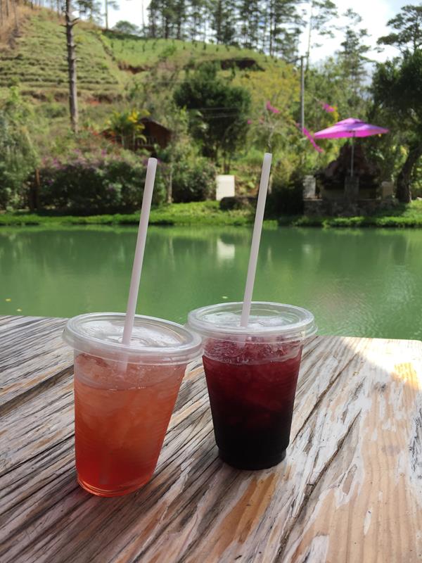 Ma Rừng Lữ Quán