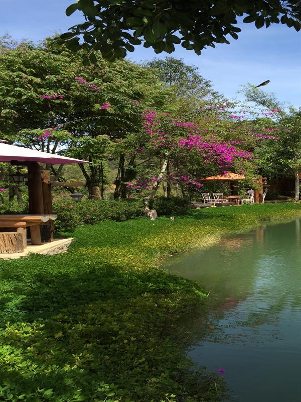 Ma Rừng Lữ Quán