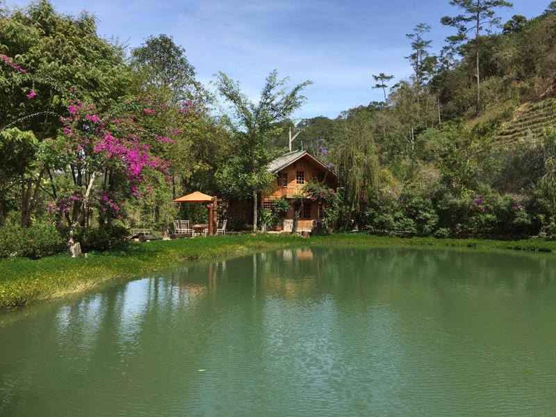 Ma Rừng Lữ Quán