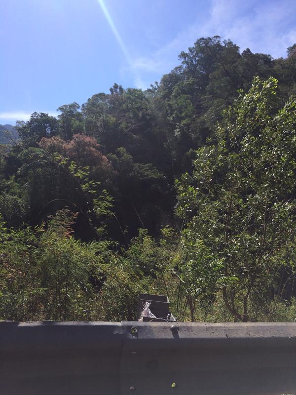 Cảnh đèo Bảo Lộc