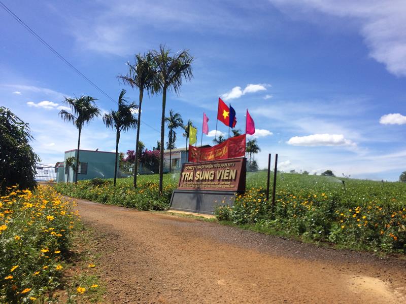 Đồi che Sung Viên