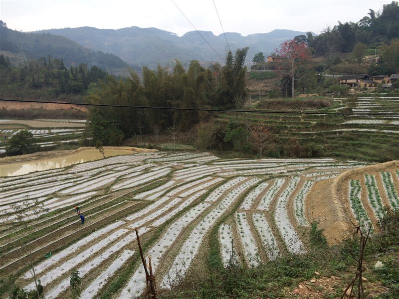 Cảnh trên đường đi Đồng Văn