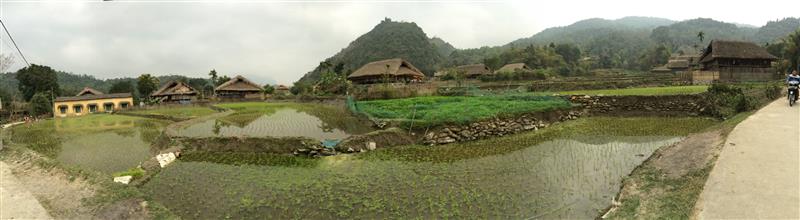 Khu nhà và đồng lúa - Làng Văn Hóa Du Lịch Cộng Đồng Thôn THA