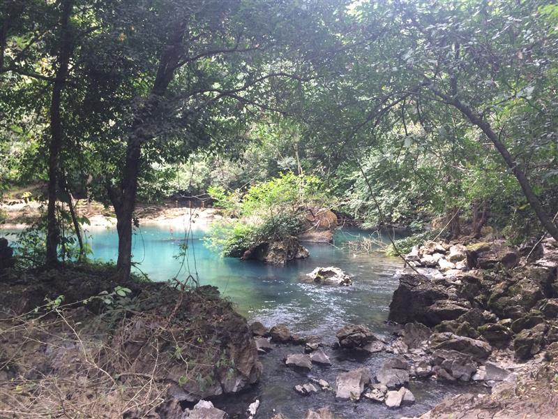 Đầu nguồn suối Lê-nin