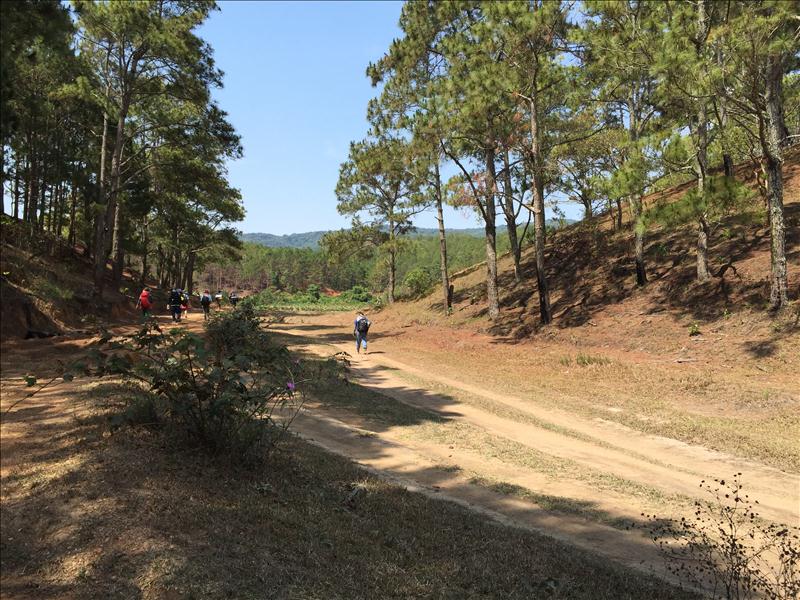 Đường đến Nhà Hoa Giấy