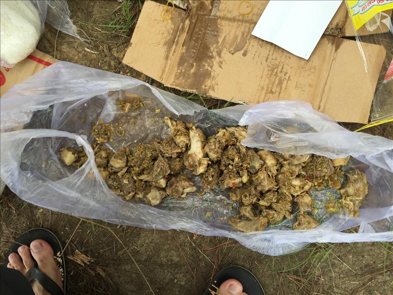 Buổi trưa của nhóm