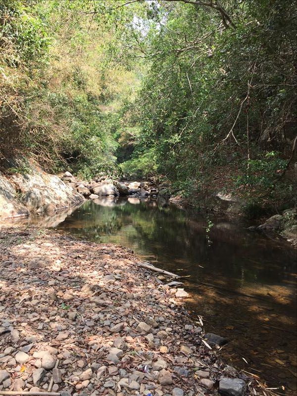 Trekking Tà năng - phan dũng