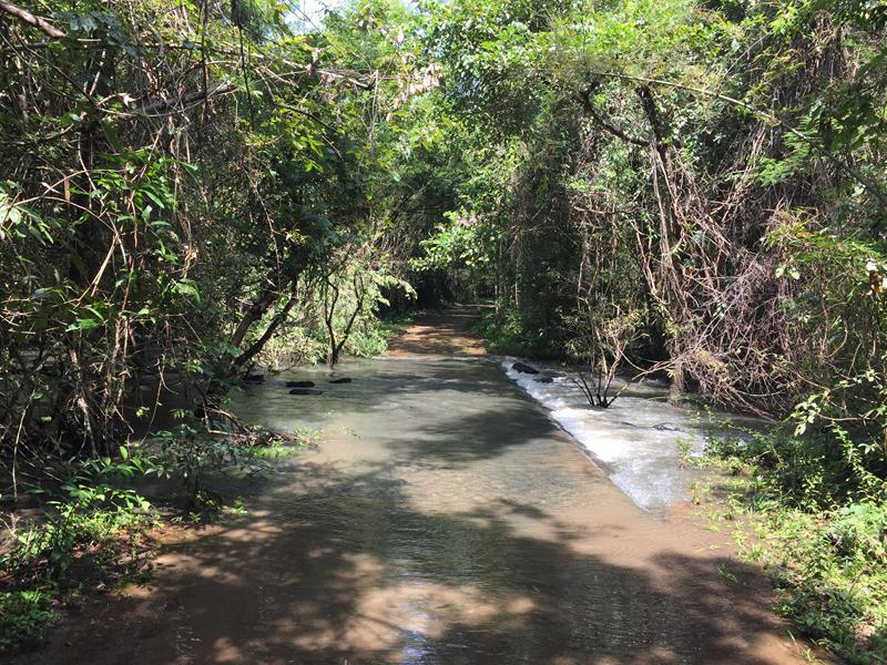 Nước sông dâng cao