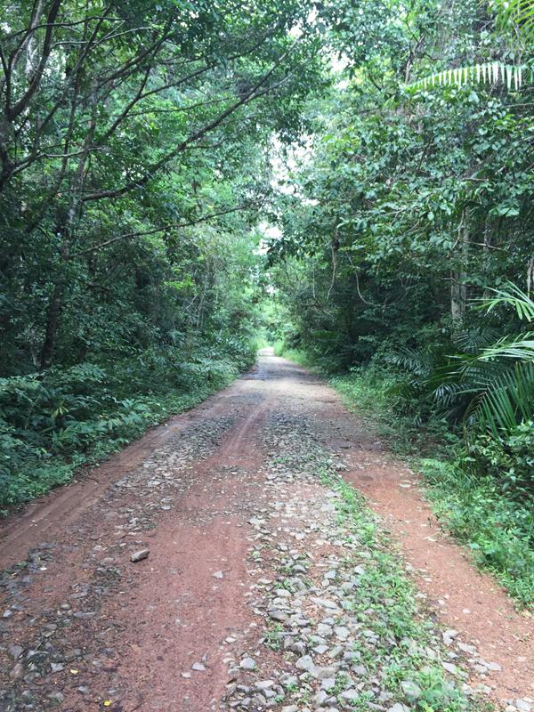 Đường vào bầu sấu