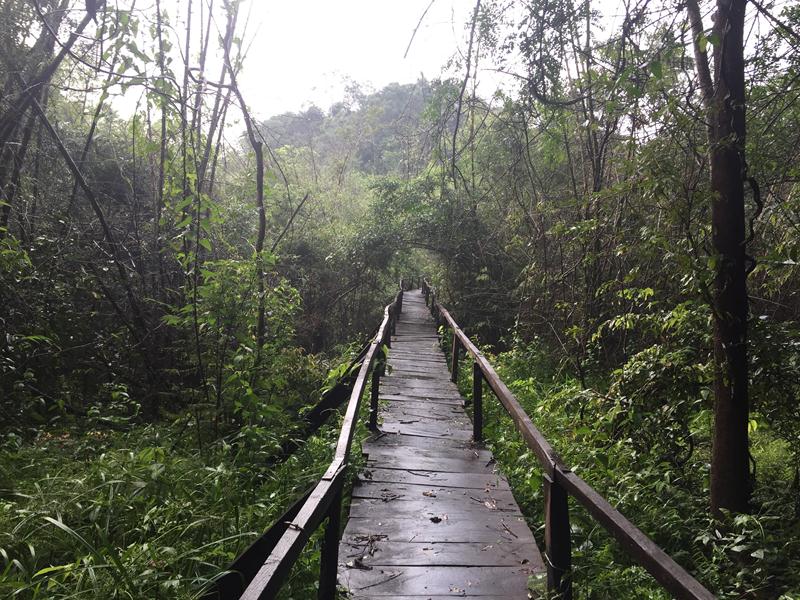 cầu vào Bàu sấu