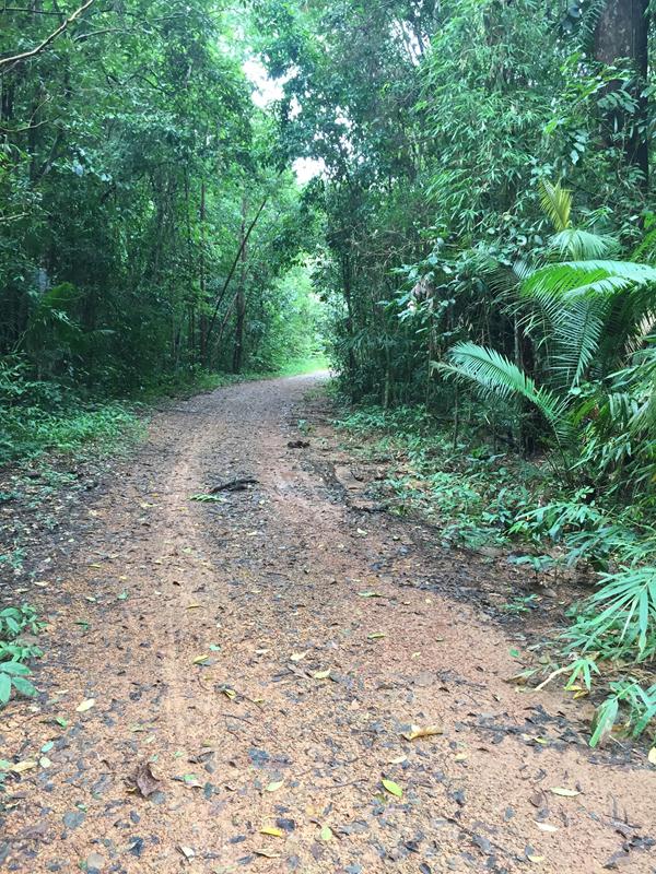 đường vào thác trời