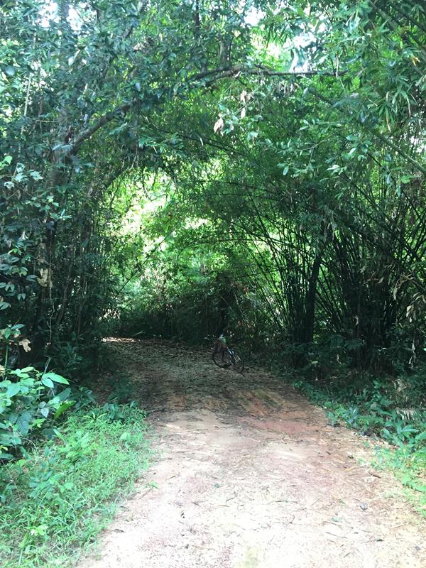 đường vào thác trời