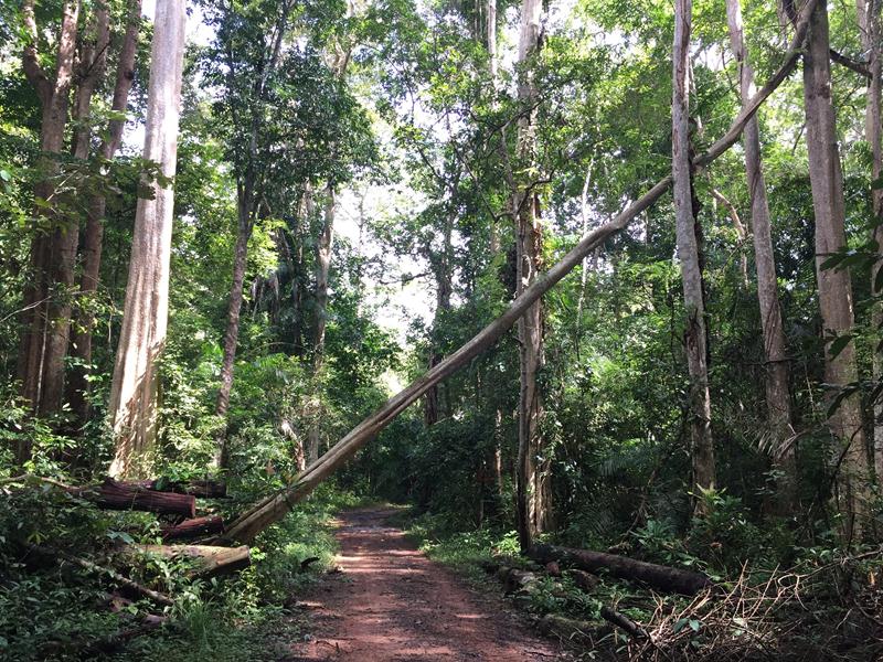đường vào thác trời