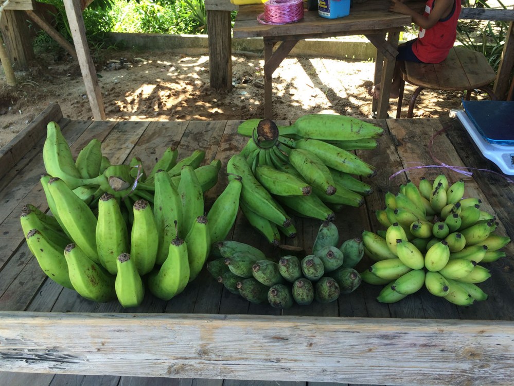 Chuối vườn ở Langkawi