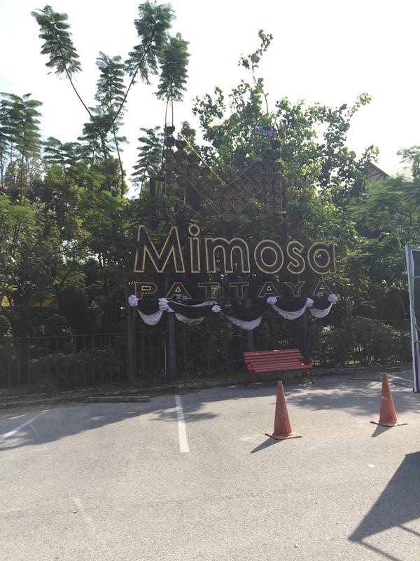 Mimosa - City of Love