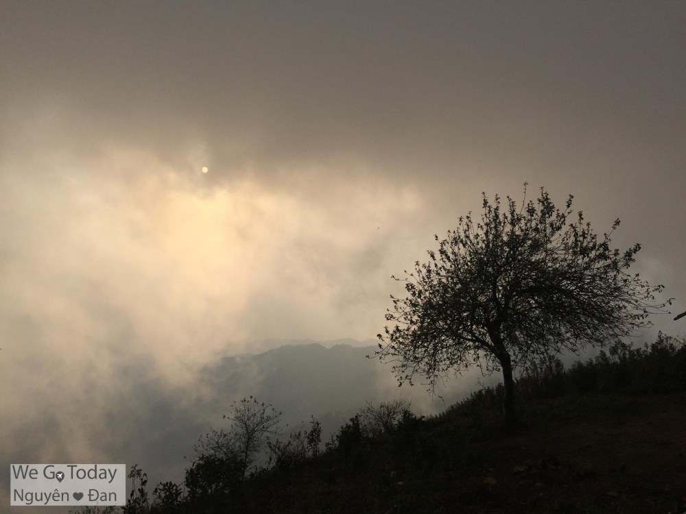 du-lich-tay-bac-hinh-cay-tao-o-xim-vang