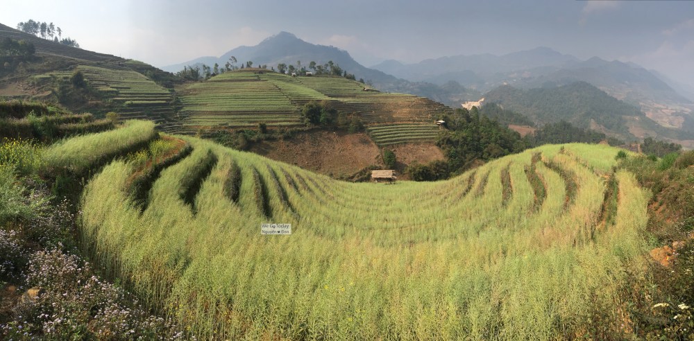 du-lich-tay-bac-hinh-doi-mam-xoi