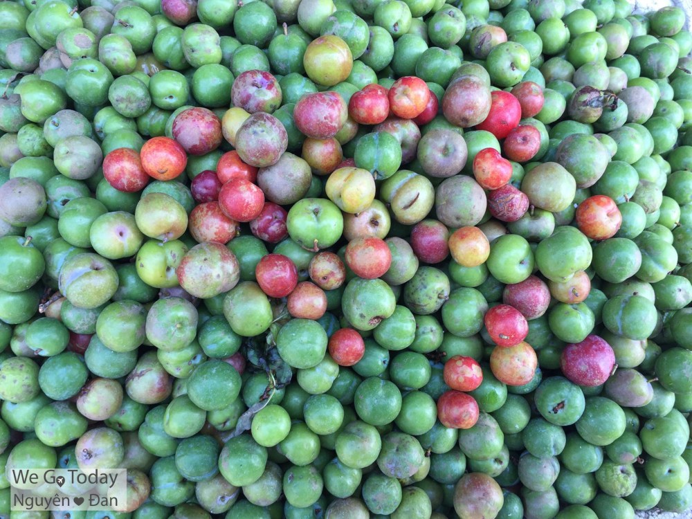 du-lich-tay-bac-hinh-man