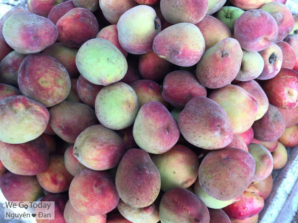 du-lich-tay-bac-hinh-dao