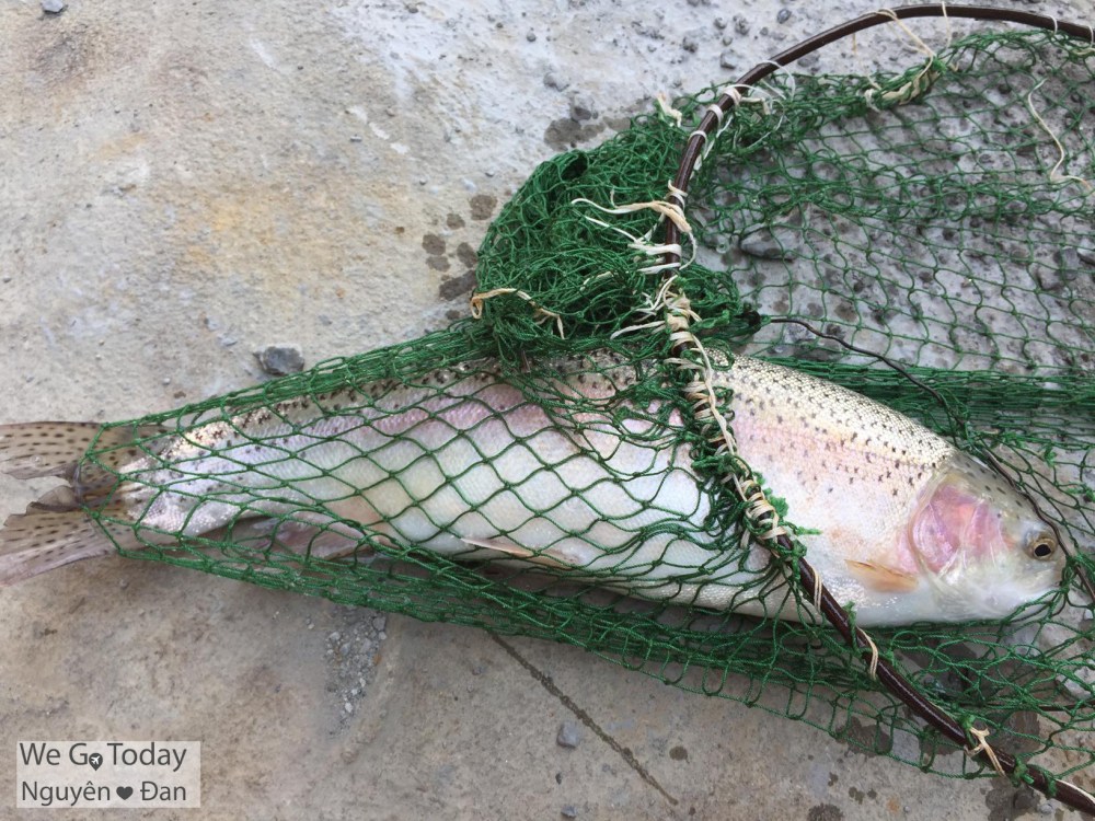 du-lich-tay-bac-hinh-ca-hoi