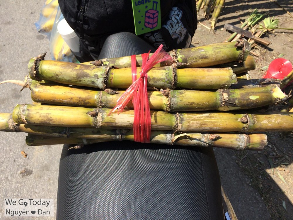 du-lich-tay-bac-hinh-mia