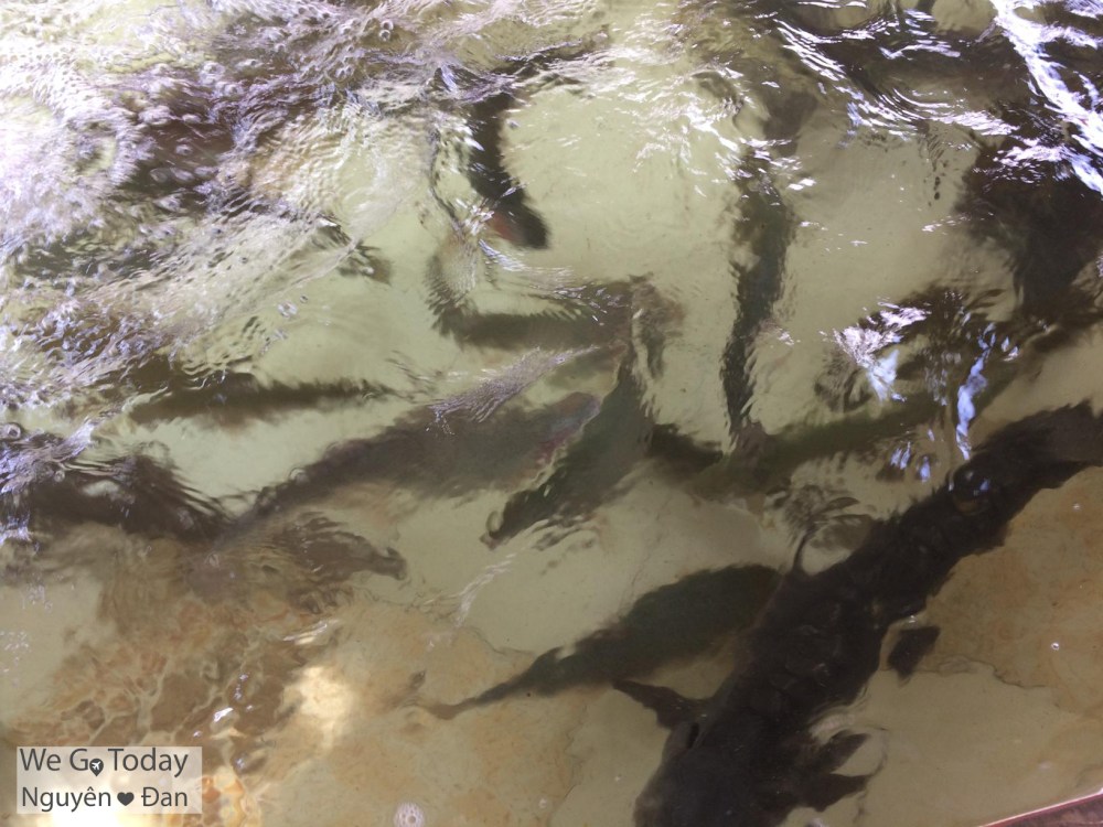 du-lich-tay-bac-hinh-ho-ca-hoi