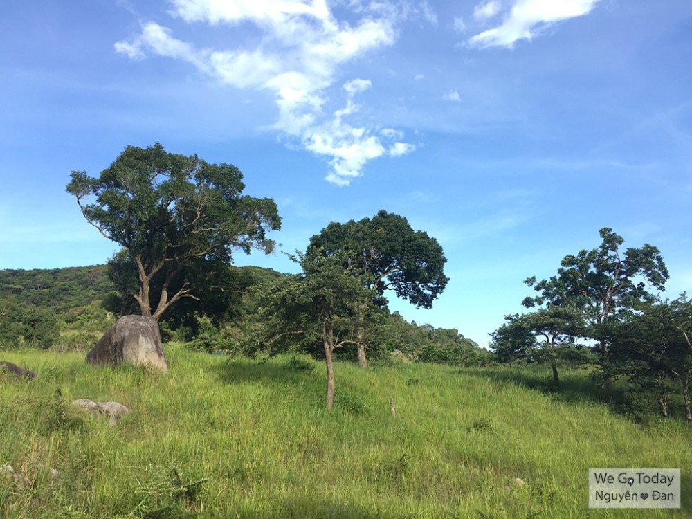 Nơi cắm trai đêm