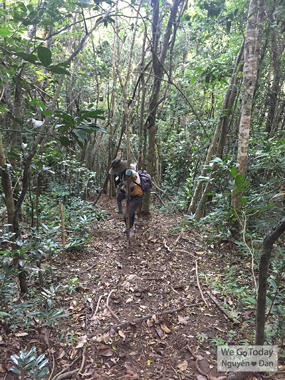 Đường xuống núi