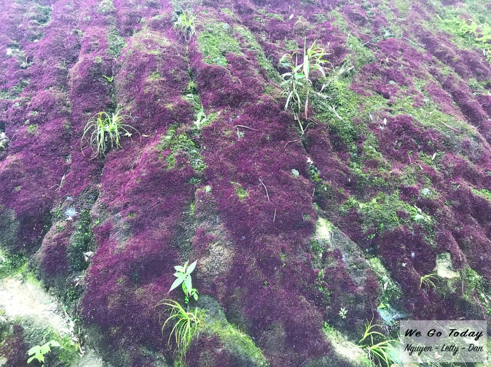 Đường lên Chiêu Lâu Thi