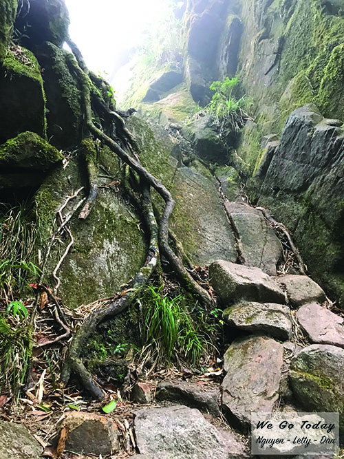 Đường đi - Trekking Fansipan