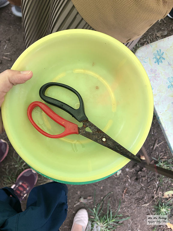 Mỗi người tự lấy một cái đĩa và một cây kéo để hái nho