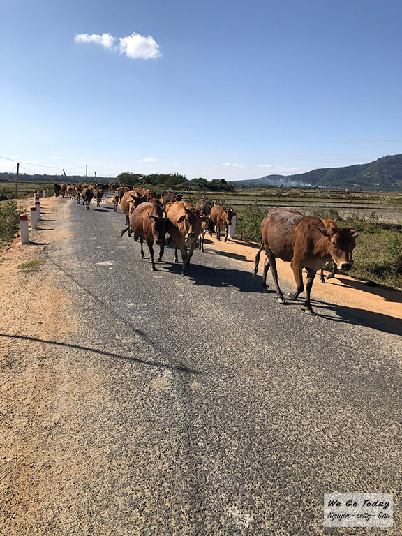 Đường đi Biển Hồ