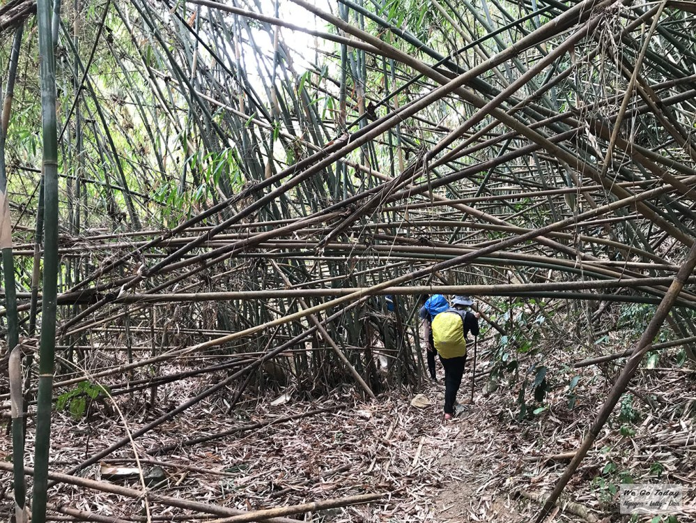 Đường trekking Tà Giang
